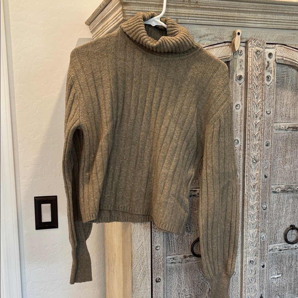 Express Ribbed Turtleneck Sweater in Olive